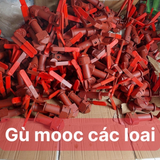 GÙ MOOC CÁC LOẠI